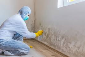 Mold Odor Removal Services in Evanston, WY